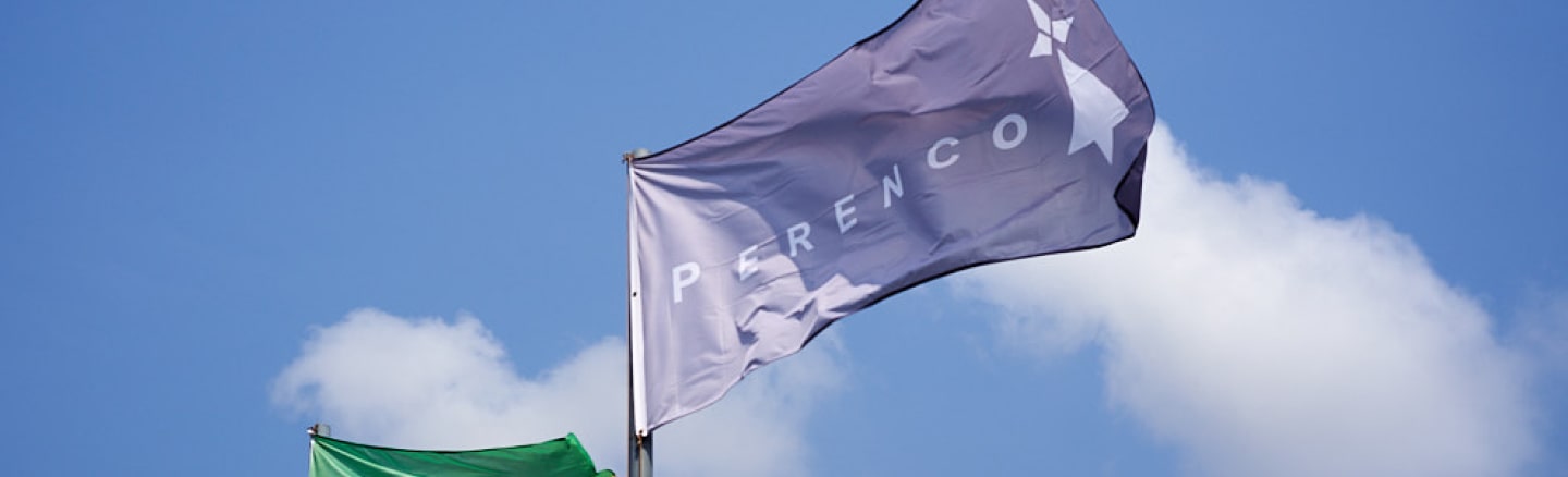 perenco contact