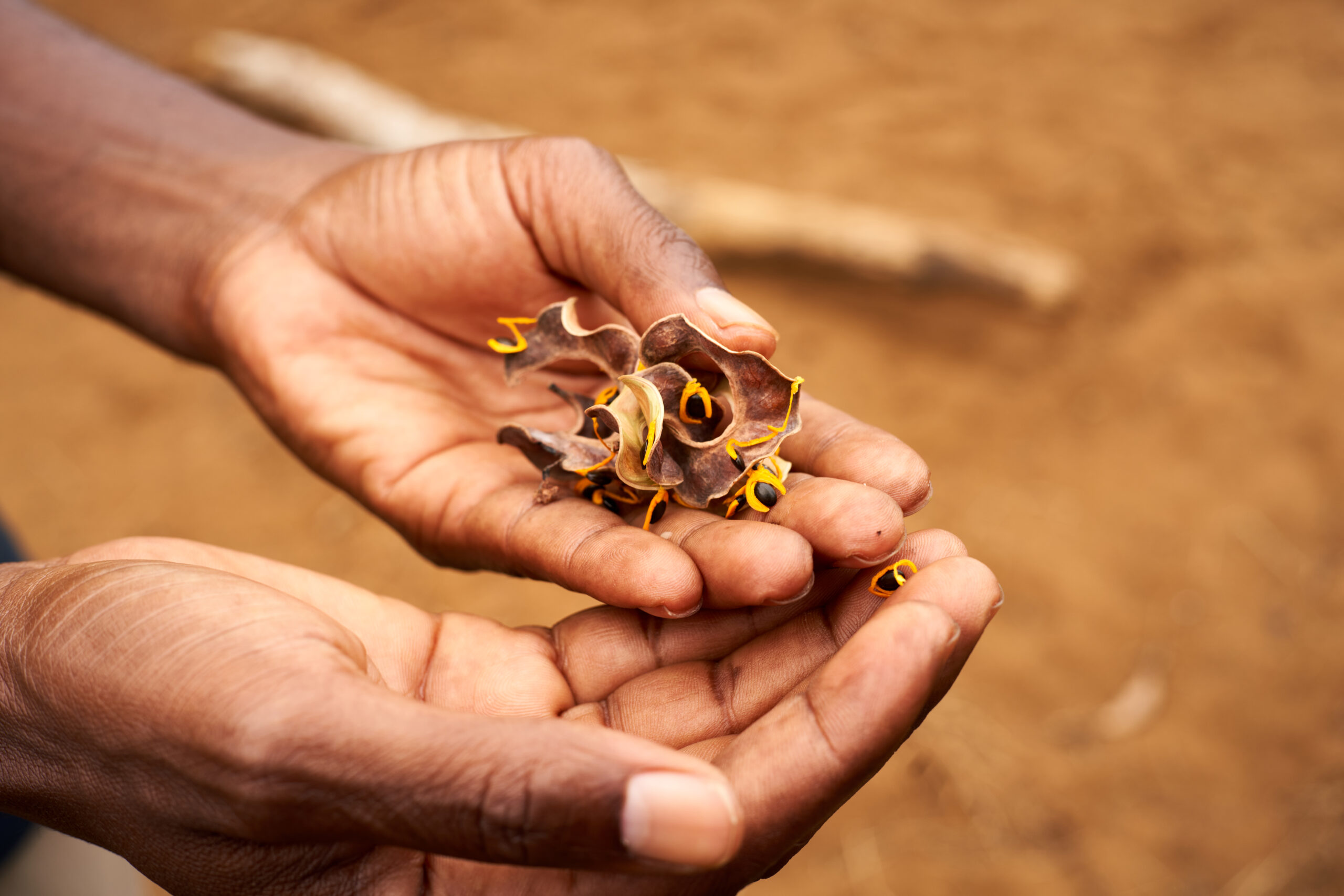 Close up on flowers hold by hands