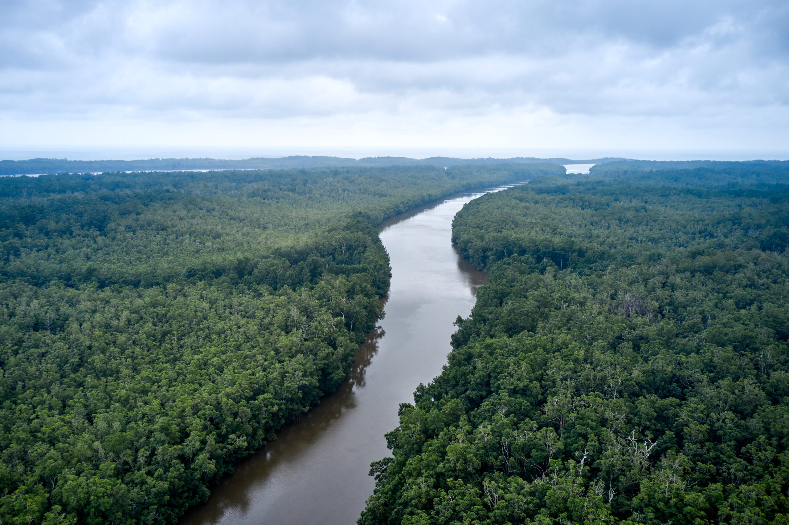 River landscape in Gabon